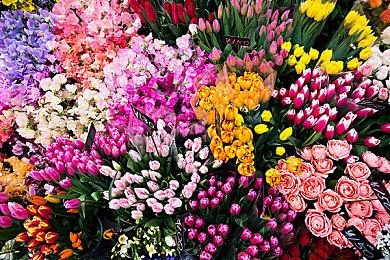 厂商宣布《inZOI》在一周之内销量已经突破100万份