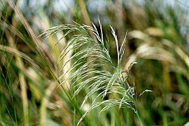 经典《巫术：疯狂领主的试验场》3D重制版将推实体版 